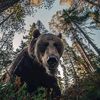 ursus5721