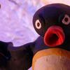 penguenpinguuuuuu