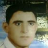 maysa.shaban4