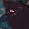 garfields_owner