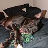froggpbt