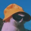 iaospeedrun