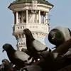 vlinhxz89