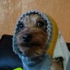 padawan_sebas