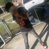 backendchild743