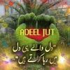 adeelsandhu490