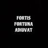 favorsthebold_