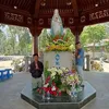 lam.ho535