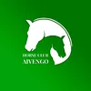 aivengohorse