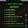 labibaarbin