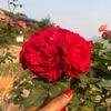 itsircbhandari0