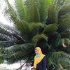sapiaharun
