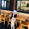 gkcantik_lhoo