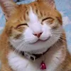 gusosenpai