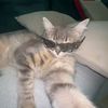 salma08756