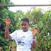 beautykhomola