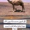 abonaif144