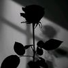 aesthetic54661