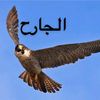 user6078293202552