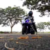 mondy4586