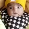 tariqmehmood2731