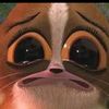 jkzzzz6