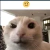 mengbatu_mez