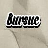 bursuc_x2n