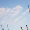 alkesdeltamas7
