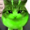 acx_is