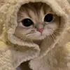 dy23qdtii4ur