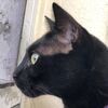 lucyrkatz