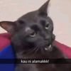 amrlhkl_01