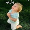 redasham2