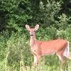 meadesoutdoors