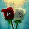 m.imrantosnyp35qz
