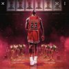 michaeljordangoat45