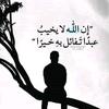 mohamedalaraby377