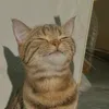 mine_ultraman