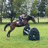 lucy._..showjumper