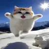 ztzf0