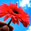 nil_akash013