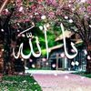 omartamr671