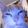 irfan_bottowski
