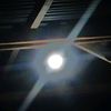 afif_4523
