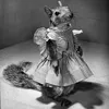 ninjarabbit86