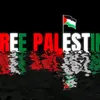 palestinedansnoscoeurs