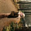 vanillazha_