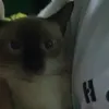 umalissijaja