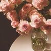 __abrar9